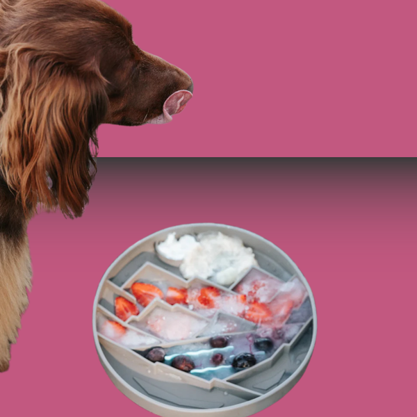 Messy Mutts Interactive Lick Bowl Grey Mountains