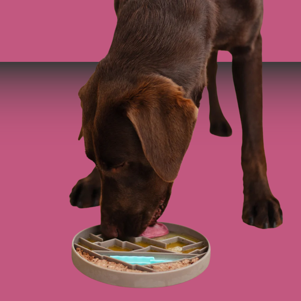 Messy Mutts Interactive Lick Bowl Grey Mountains