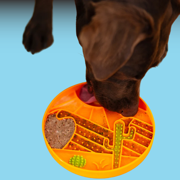 Messy Mutts Interactive Lick Bowl Orange Desert