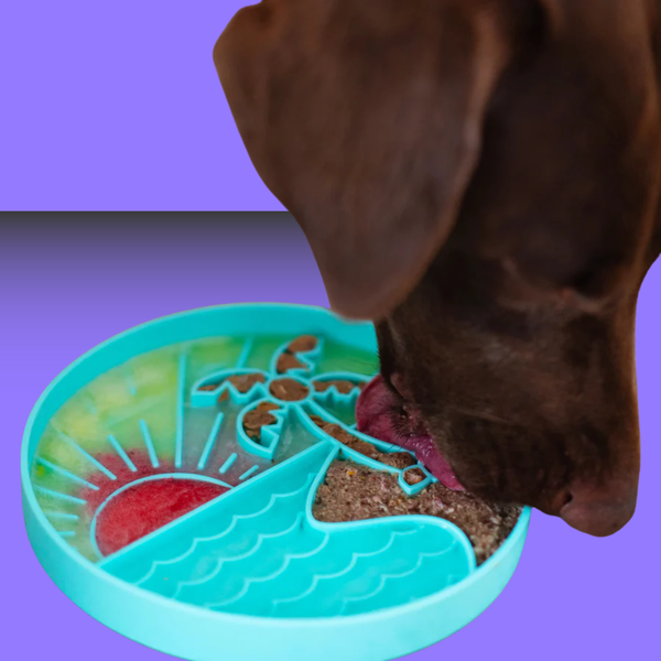 Messy Mutts Interactive Lick Bowl Teal Beach