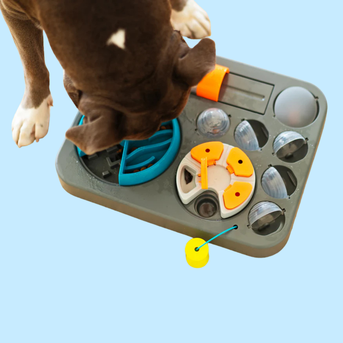 Messy Mutts Interactive Puzzle Feeder Rectangle
