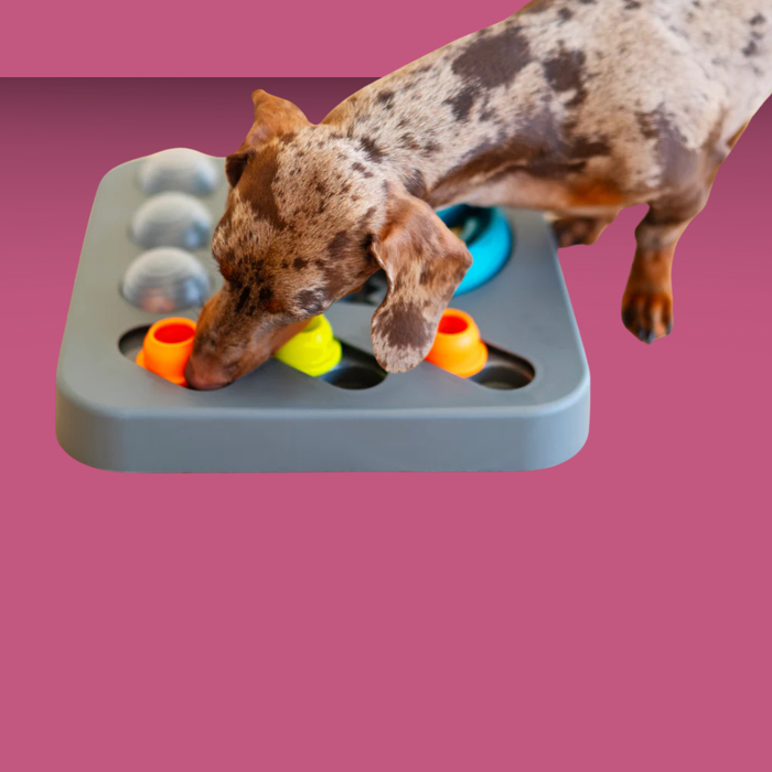 Messy Mutts Interactive Puzzle Feeder Square