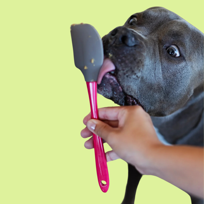 Messy Mutts Silicone Interactive Feeder With Spatula