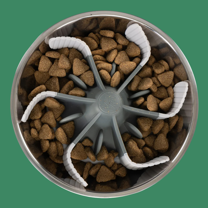 Messy Mutts Slow Feeder Bowl Insert