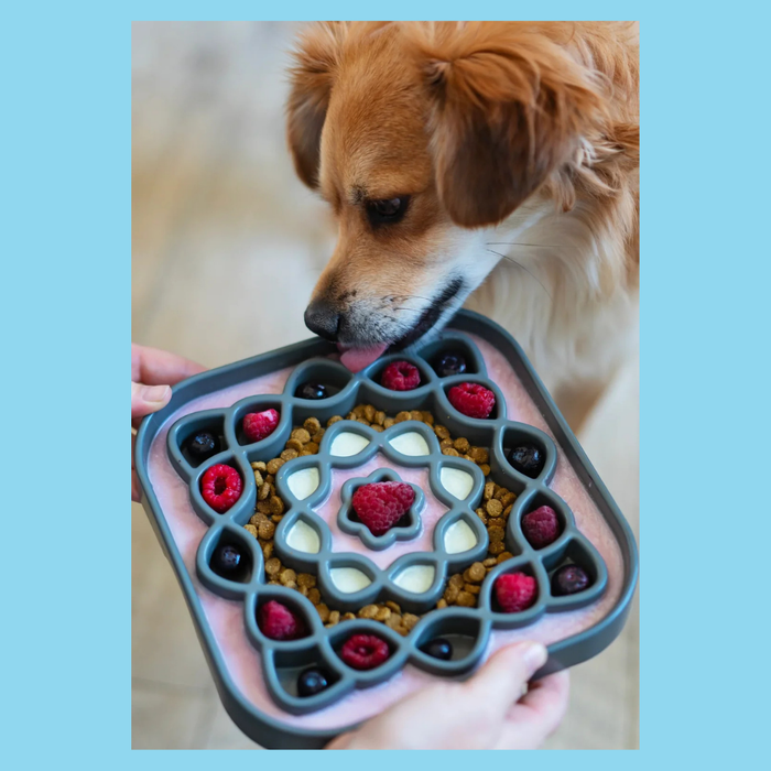 Messy Mutts Slow Feeder Square Blue 2 Cup S