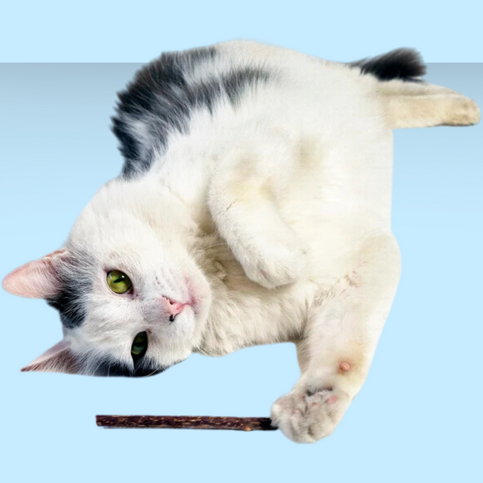 Metro Paws Bliss Organic Silvervine Stix Tube