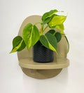 Grey Pot