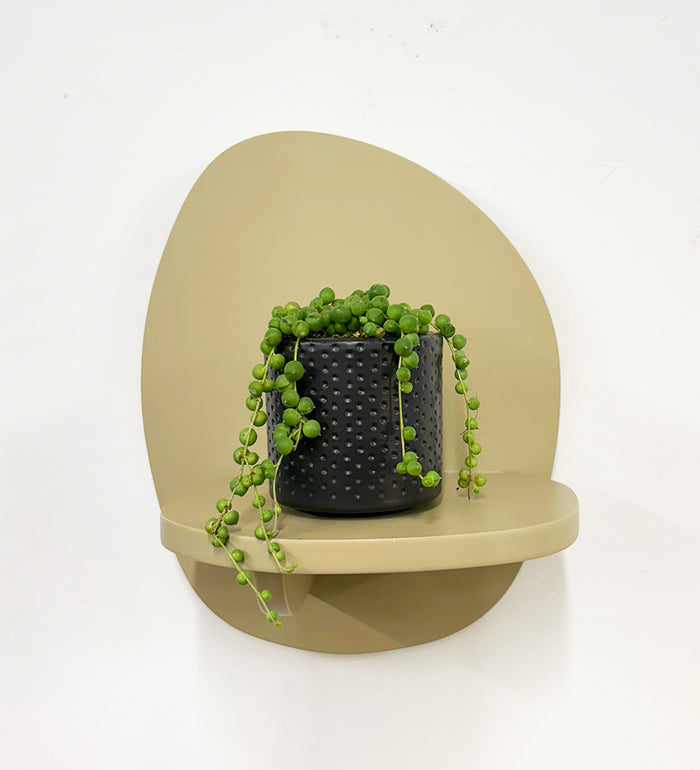 Mini String of Pearls & Pot
