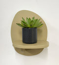 Mini Succulent & Pot