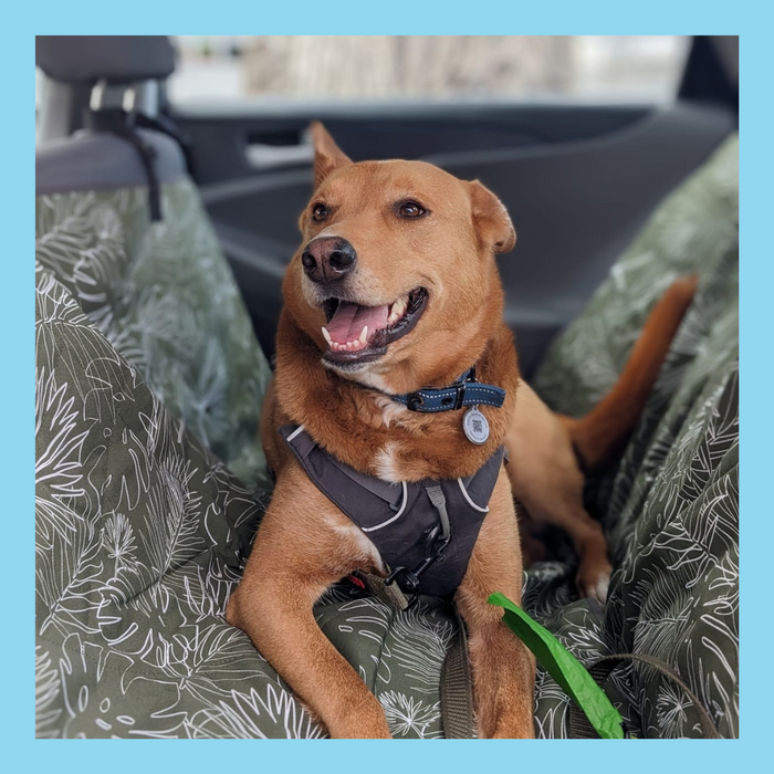 Molly Mutt Car Seat Cover Panama