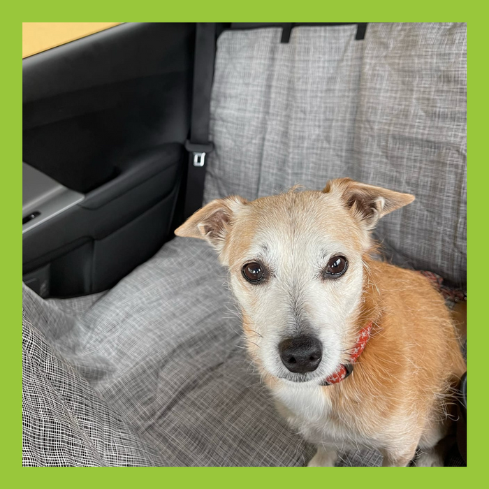 Molly Mutt Car Seat Cover River