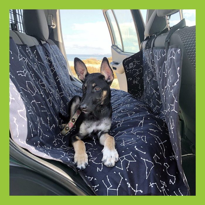 Molly Mutt Car Seat Cover Rocketman