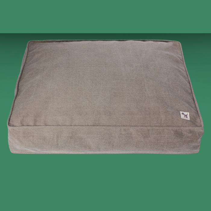 Molly Mutt Jupiter M/L