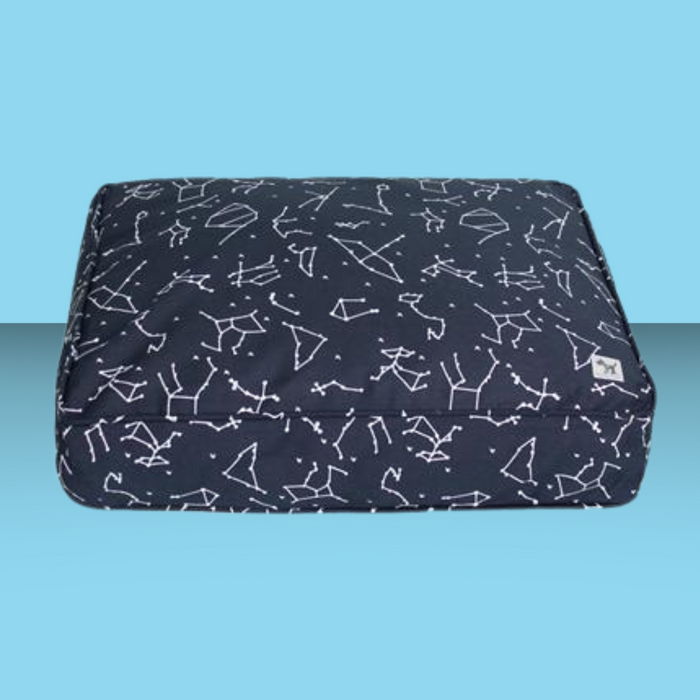 Molly Mutt Rocketman Petite Square