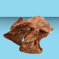 Momentum FD Hairy Pig Ear