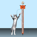 Moody Pet Fling-ama-string