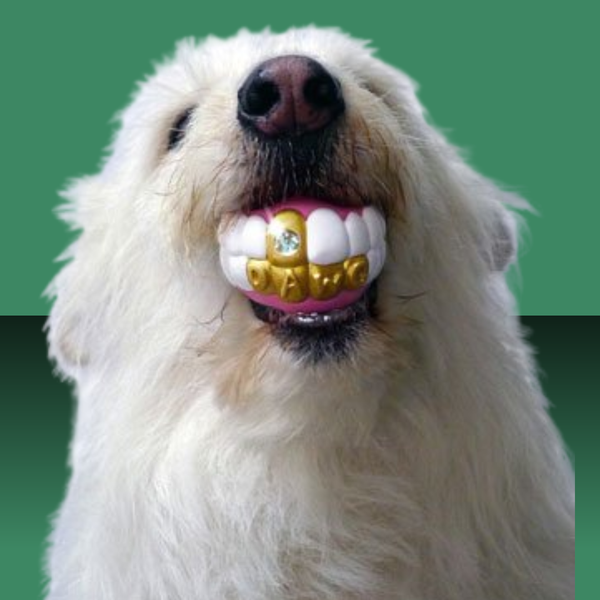 Moody Pet Humunga Bling L