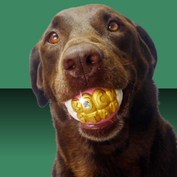 Moody Pet Humunga Bling L
