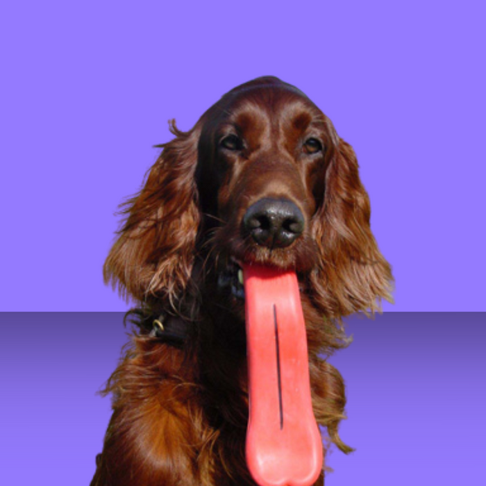 Moody Pet Humunga Tongue L