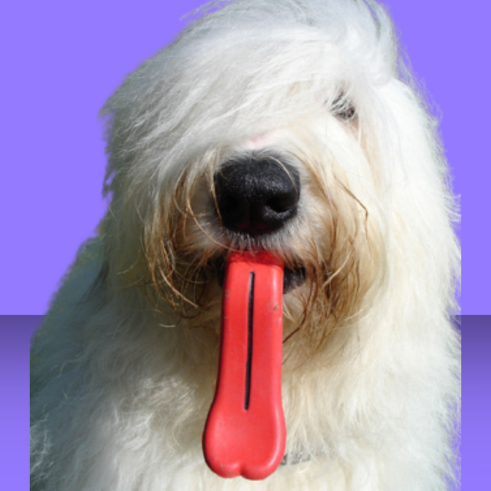 Moody Pet Humunga Tongue L