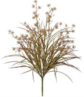Mountain Grass & Berry