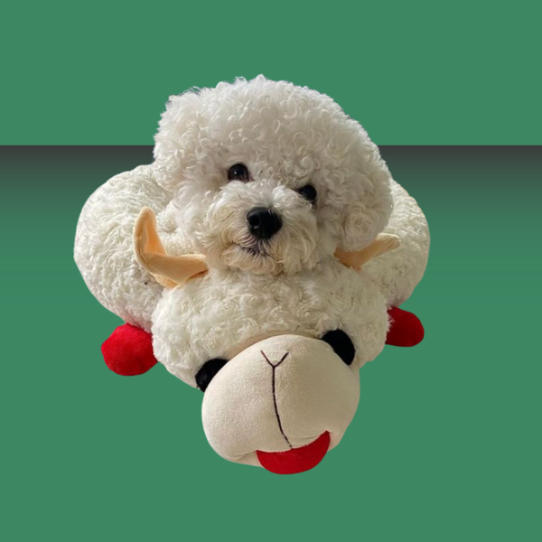 Multipet Lamb Chop Bed