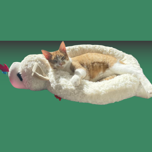 Multipet Lamb Chop Bed