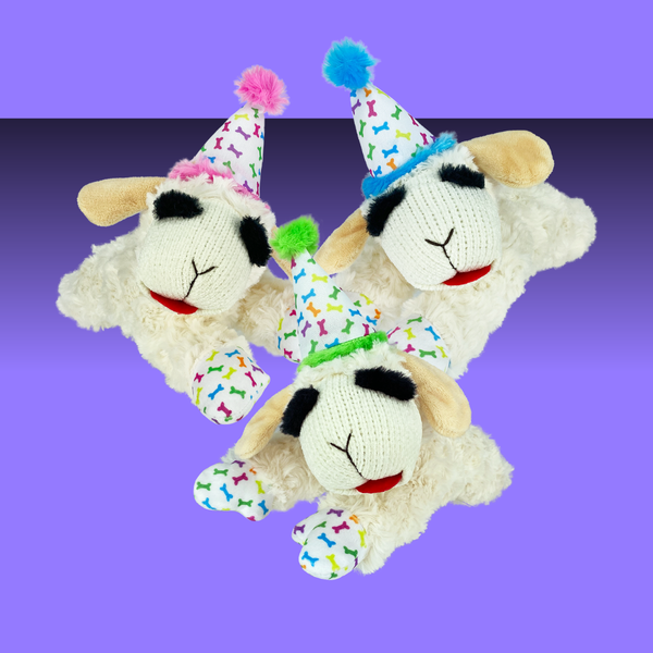 Multipet Lambchop with Birthday Hat 10.5"