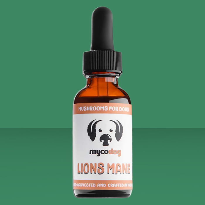 MycoDog Lion's Mane 1oz