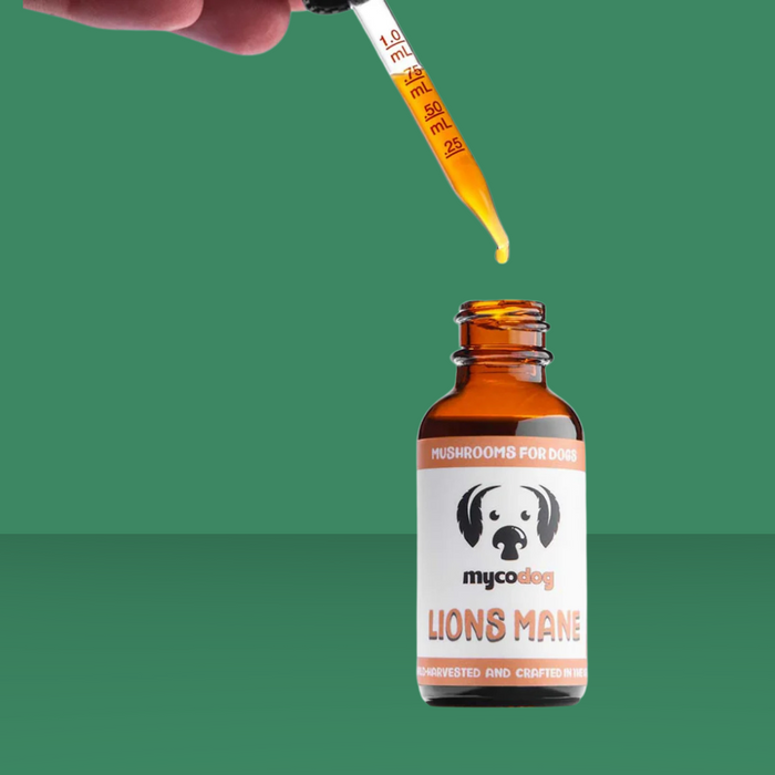 MycoDog Lion's Mane 1oz