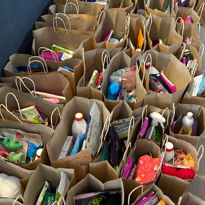Mystery Bag - $100