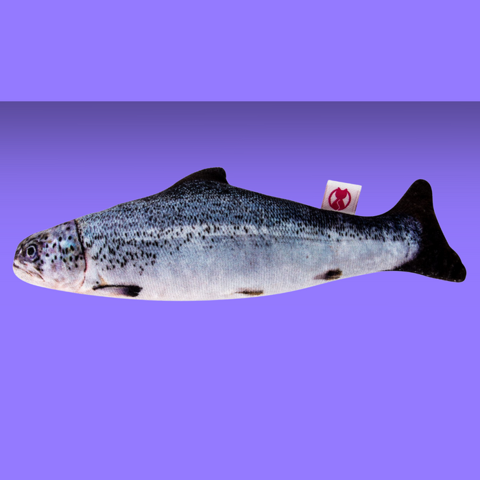 Natural Cat Toy Catnip Salmon Cuddle Fish