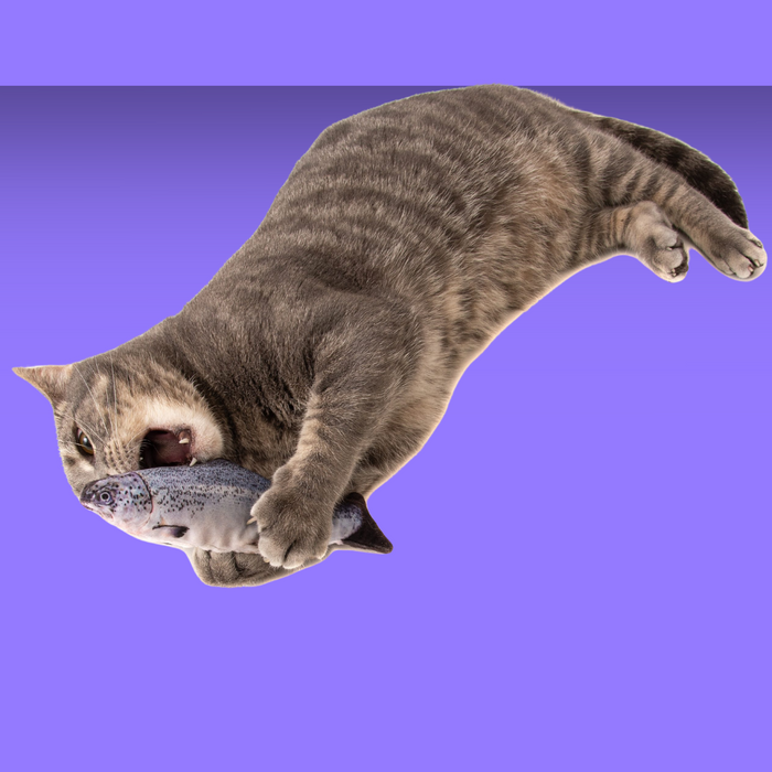 Natural Cat Toy Catnip Salmon Cuddle Fish