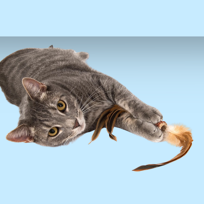 Natural Cat Toy Corn Feather Flywheel