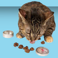 Natural Cat Toy Matabi Gall Fruit