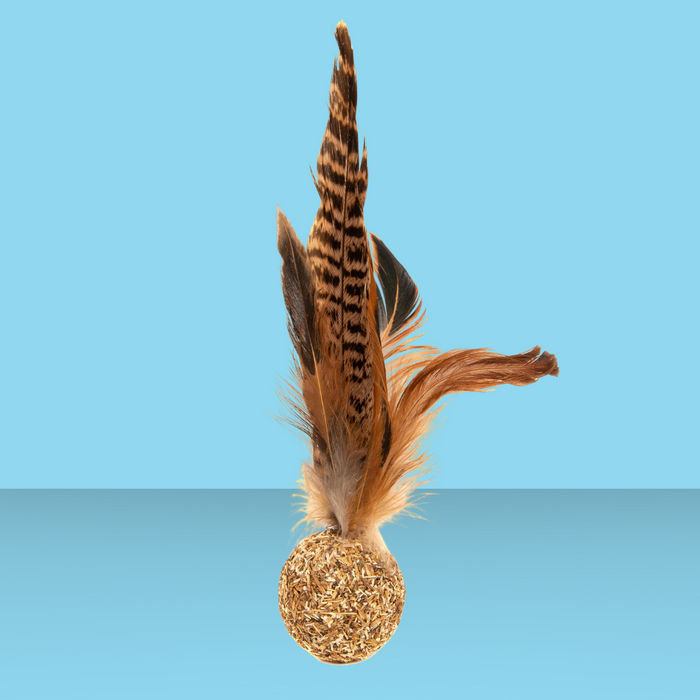 Natural Cat Toy Pheasant Feather Silver Vine Ball