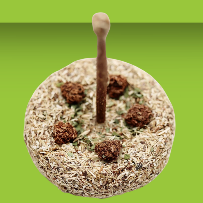 Natural Cat Toy Silvervine Birthday Cake