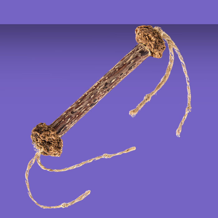 Natural Cat Toy Silvervine Dental Clean Sticks