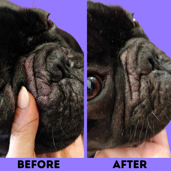 Natural Dog Company Wrinkle Balm Stick 2oz