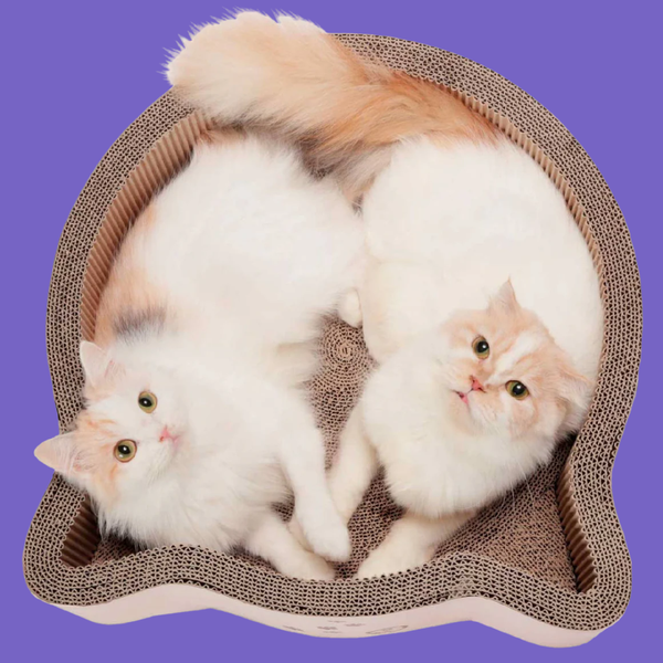 Necoichi Cat Head Shaped Scratcher Bed Birch