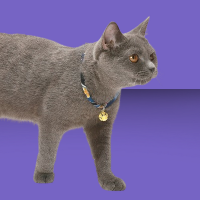 Necoichi Chirimen Collar with Clover Bell Navy
