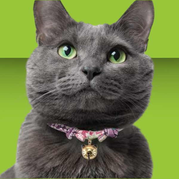 Necoichi Chirimen Hanabi Fireworks Cat Collar Purple