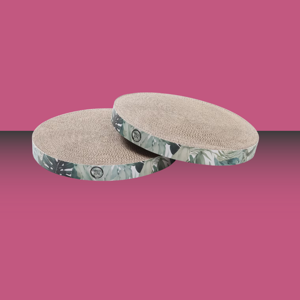 Necoichi Cozy Cat Scratcher Bowl Replacement Pad XL Green 2 pack