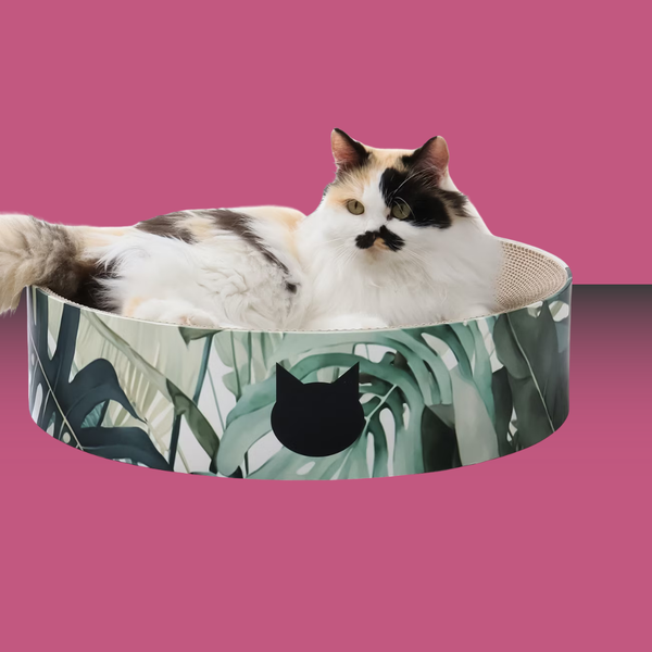 Necoichi Cozy Cat Scratcher Bowl XL Green