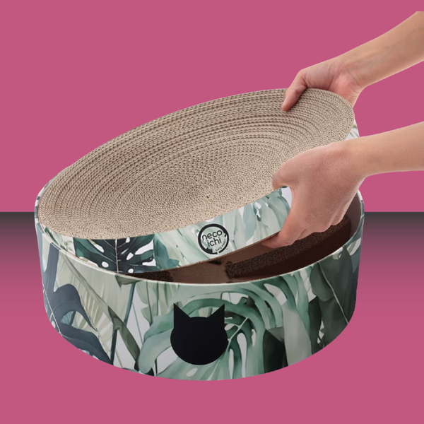 Necoichi Cozy Cat Scratcher Bowl XL Green