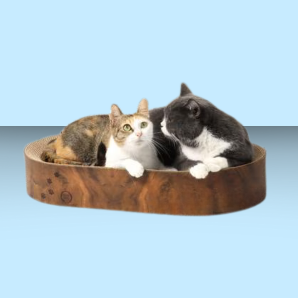 Necoichi Cozy Cat Scratcher Capsule Dark Cherry