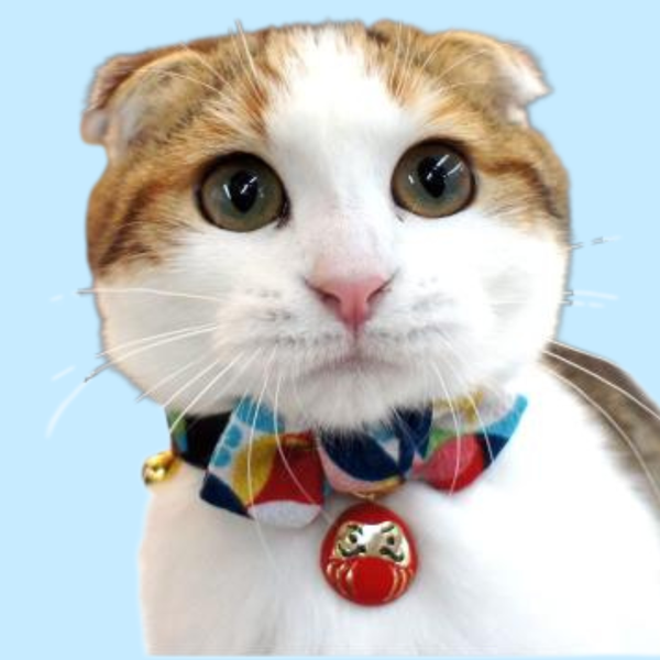 Necoichi Daruma Charm Bow Tie Cat Collar Red