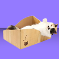 Necoichi Hideaway Cat Scratcher Box Oak