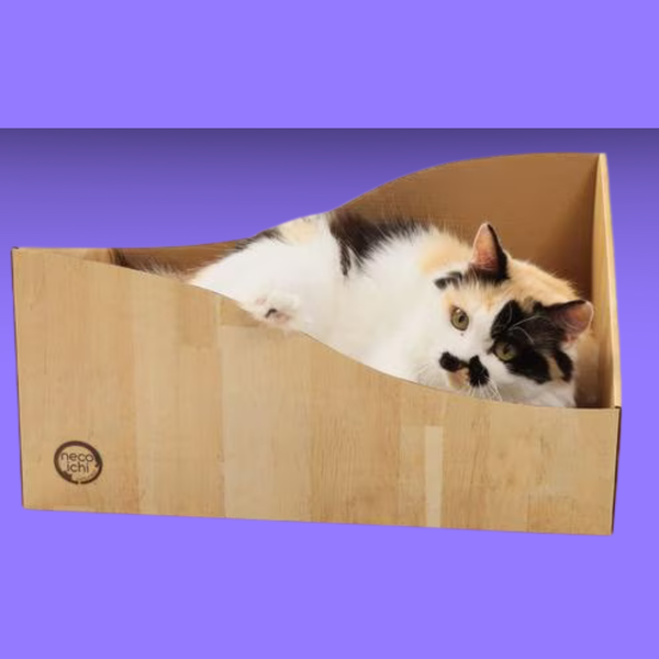 Necoichi Hideaway Cat Scratcher Box Oak