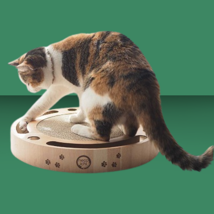 Necoichi Interactive Track Ball Scratcher